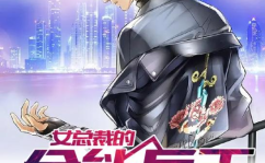 女总裁的全能兵王 小说,隐秘战线的守护者