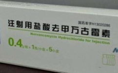 去甲万古霉素,探究去甲万古霉素的药理特性与应用前景